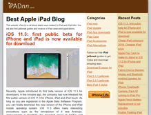 Tablet Screenshot of ipadnn.com
